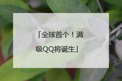 全球首个！满级QQ将诞生
