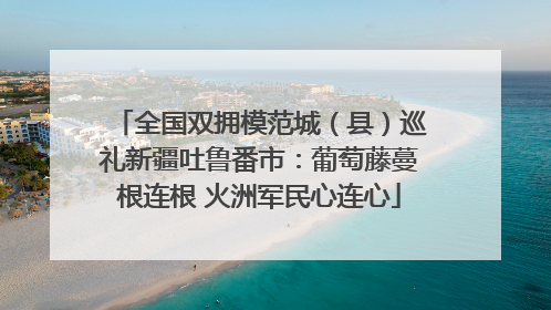 全国双拥模范城（县）巡礼新疆吐鲁番市：葡萄藤蔓根连根 火洲军民心连心