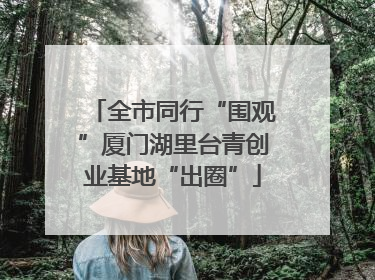 全市同行“围观”厦门湖里台青创业基地“出圈”