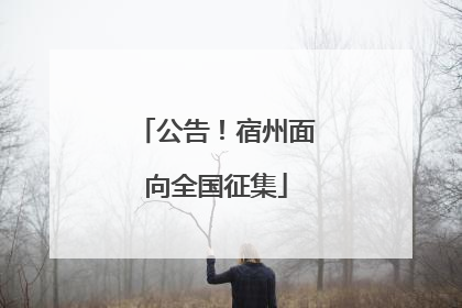 公告！宿州面向全国征集