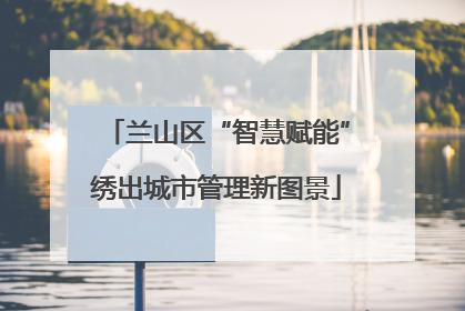 兰山区“智慧赋能”绣出城市管理新图景