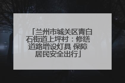 兰州市城关区青白石街道上坪村：修缮道路增设灯具 保障居民安全出行