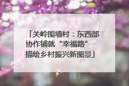 关岭围墙村：东西部协作铺就“幸福路” 描绘乡村振兴新图景