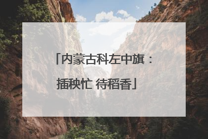 内蒙古科左中旗：插秧忙 待稻香