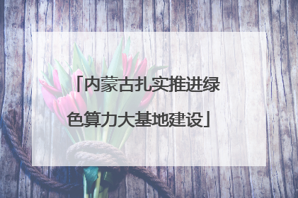 内蒙古扎实推进绿色算力大基地建设