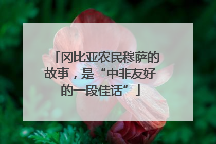 冈比亚农民穆萨的故事，是“中非友好的一段佳话”