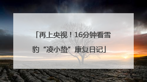 再上央视！16分钟看雪豹“凌小蛰”康复日记