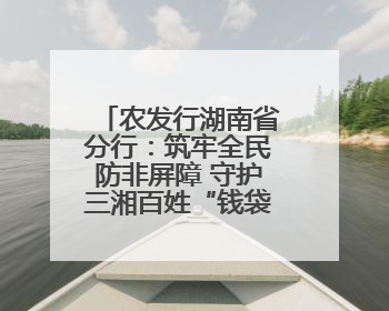 农发行湖南省分行：筑牢全民防非屏障 守护三湘百姓“钱袋子”