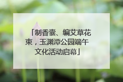 制香囊、编艾草花束，玉渊潭公园端午文化活动启幕