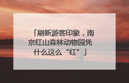 刷新游客印象，南京红山森林动物园凭什么这么“红”