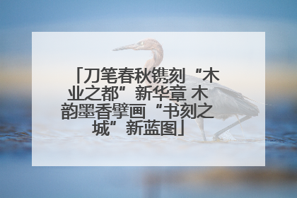 刀笔春秋镌刻“木业之都”新华章 木韵墨香擘画“书刻之城”新蓝图