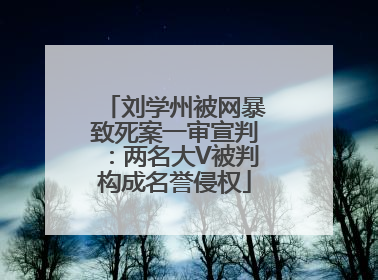 刘学州被网暴致死案一审宣判：两名大V被判构成名誉侵权