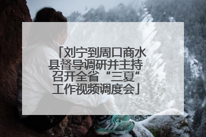 刘宁到周口商水县督导调研并主持召开全省“三夏”工作视频调度会