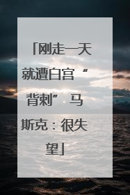 刚走一天就遭白宫“背刺” 马斯克：很失望
