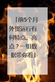 前5个月外贸运行有何特点、亮点？一组数据带你看