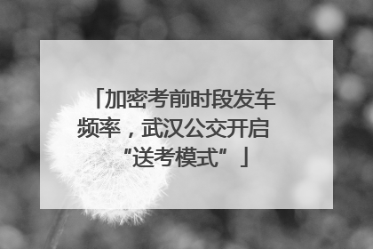 加密考前时段发车频率，武汉公交开启“送考模式”