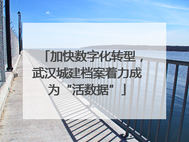 加快数字化转型，武汉城建档案着力成为“活数据”