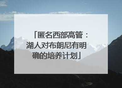 匿名西部高管：湖人对布朗尼有明确的培养计划