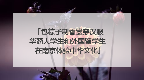 包粽子制香囊穿汉服 华裔大学生和外国留学生在南京体验中华文化