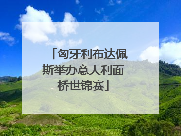匈牙利布达佩斯举办意大利面桥世锦赛