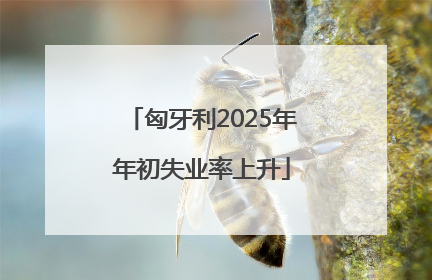 匈牙利2025年年初失业率上升