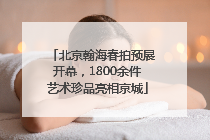 北京翰海春拍预展开幕，1800余件艺术珍品亮相京城