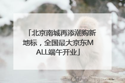 北京南城再添潮购新地标，全国最大京东MALL端午开业