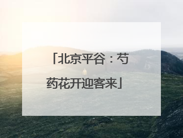 北京平谷：芍药花开迎客来