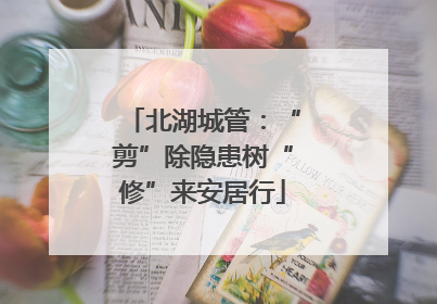 北湖城管：“剪”除隐患树“修”来安居行