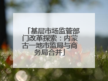 基层市场监管部门改革探索：内蒙古一地市监局与商务局合并