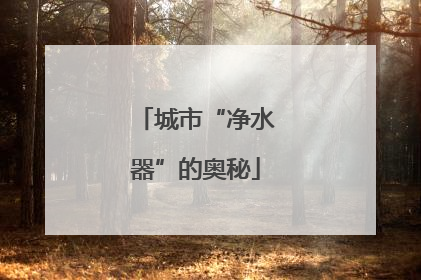 城市“净水器”的奥秘