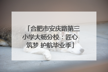 合肥市安庆路第三小学大杨分校：匠心筑梦 护航毕业季