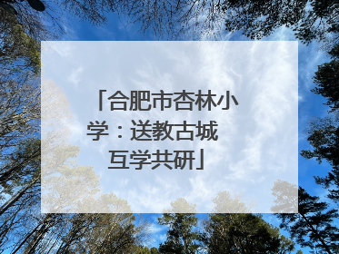 合肥市杏林小学：送教古城 互学共研