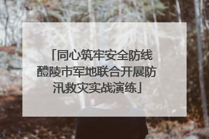 同心筑牢安全防线 醴陵市军地联合开展防汛救灾实战演练