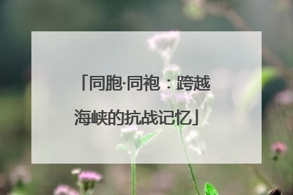 同胞·同袍：跨越海峡的抗战记忆