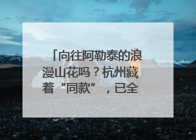 向往阿勒泰的浪漫山花吗？杭州藏着“同款”，已全面进入盛花期
