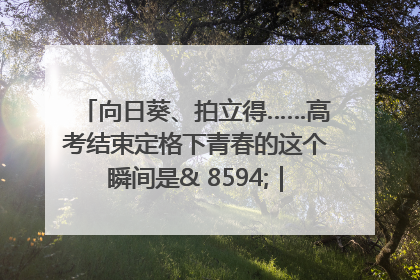 向日葵、拍立得……高考结束定格下青春的这个瞬间是& 8594;｜2025四川高考