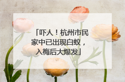 吓人！杭州市民家中已出现白蚁，入梅后大爆发