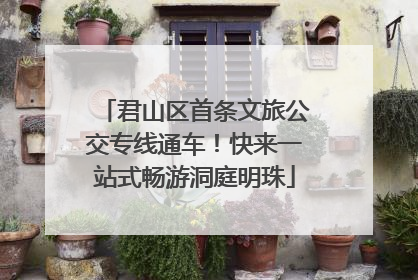 君山区首条文旅公交专线通车！快来一站式畅游洞庭明珠