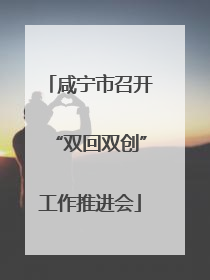 咸宁市召开“双回双创”工作推进会