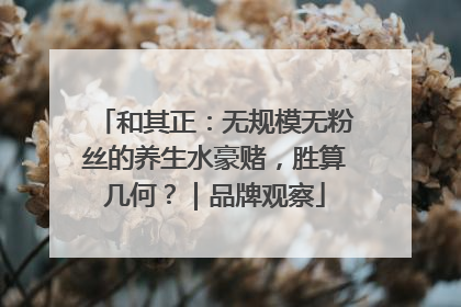 和其正：无规模无粉丝的养生水豪赌，胜算几何？｜品牌观察