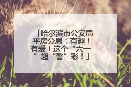 哈尔滨市公安局平房分局：有趣！有爱！这个“六一”超“警”彩！