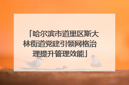 哈尔滨市道里区斯大林街道党建引领网格治理提升管理效能