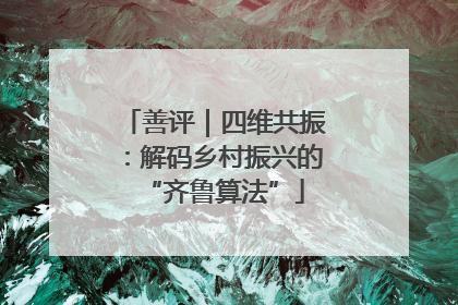 善评｜四维共振：解码乡村振兴的“齐鲁算法”