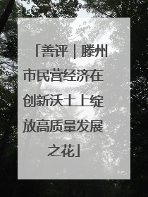 善评｜滕州市民营经济在创新沃土上绽放高质量发展之花