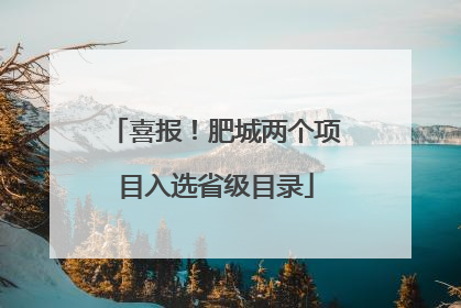 喜报！肥城两个项目入选省级目录