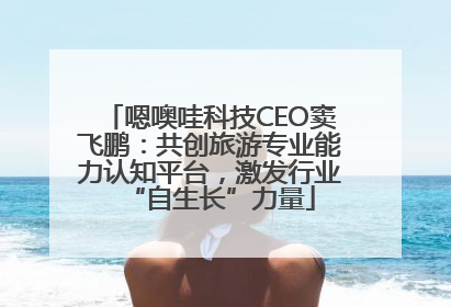 嗯噢哇科技CEO窦飞鹏：共创旅游专业能力认知平台，激发行业“自生长”力量