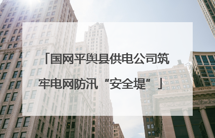 国网平舆县供电公司筑牢电网防汛“安全堤”