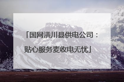 国网潢川县供电公司：贴心服务麦收电无忧