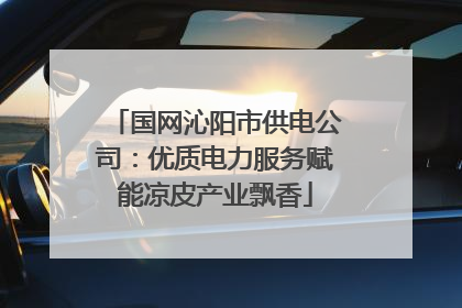 国网沁阳市供电公司：优质电力服务赋能凉皮产业飘香